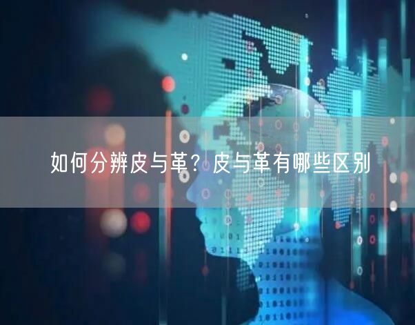 如何分辨皮与革？皮与革有哪些区别