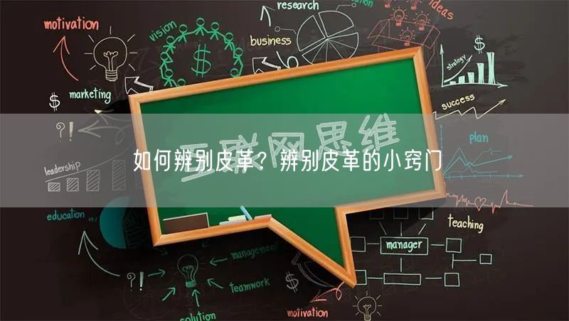 如何辨别皮革？辨别皮革的小窍门